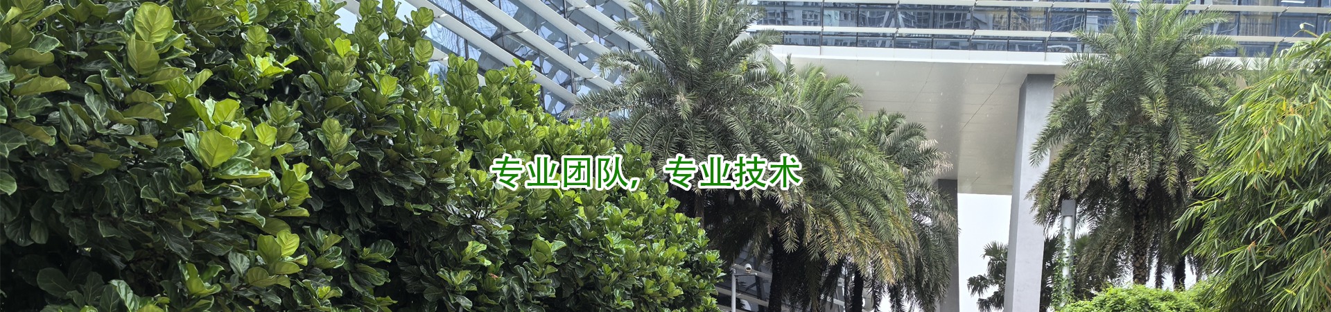 核心技术 核心技术