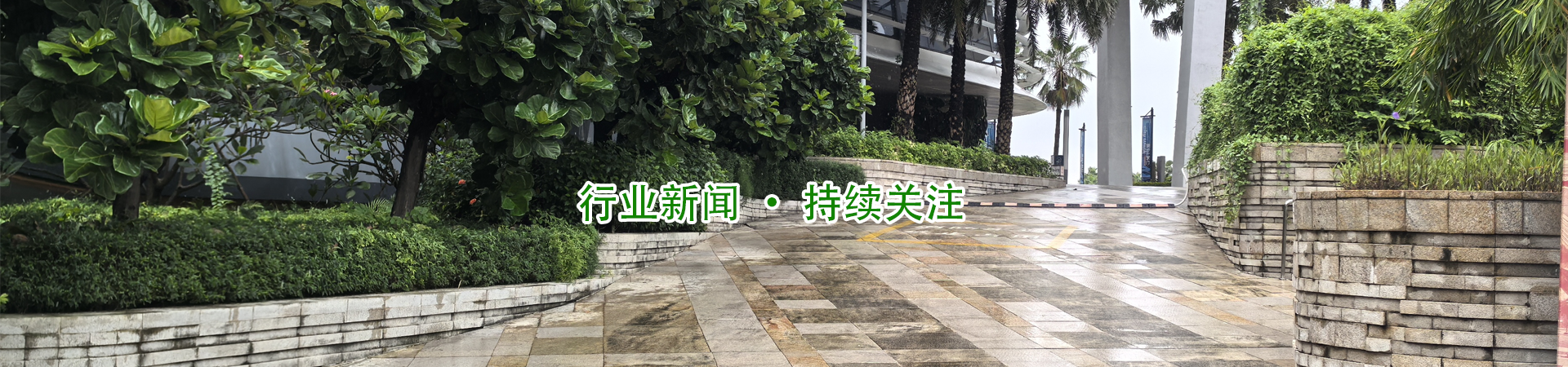 新闻中心 新闻中心